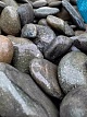 Оксана Яншина Отзывы Камень Клуб Оксана Яншина Отзывы Камень Клуб
